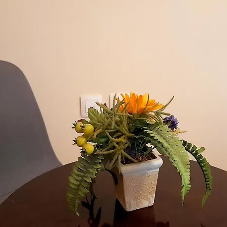 ήσυχο & άνετο στο κέντρο λάρισας Apartman